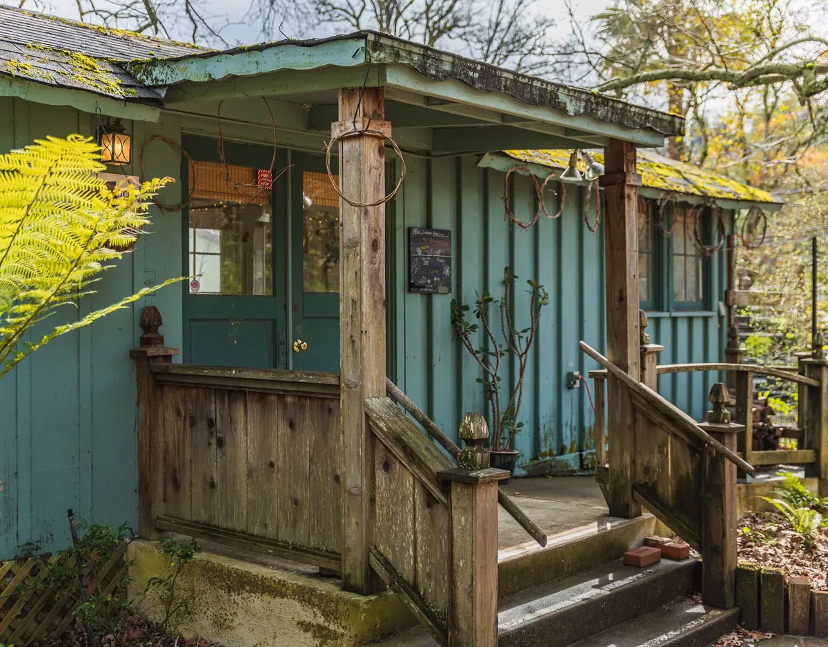 Rustic wooden porch with steps surrounded by ferns and greenery